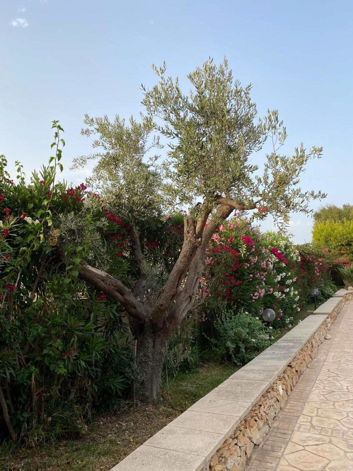 Villa Maia Porto Cesareo Luaran gambar